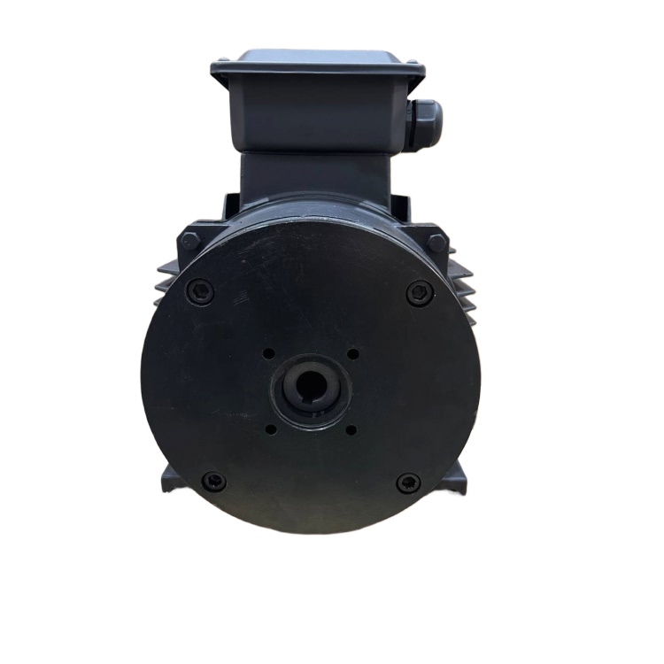 Мотор H160 22 KW (межосевое расстояние 87мм)
