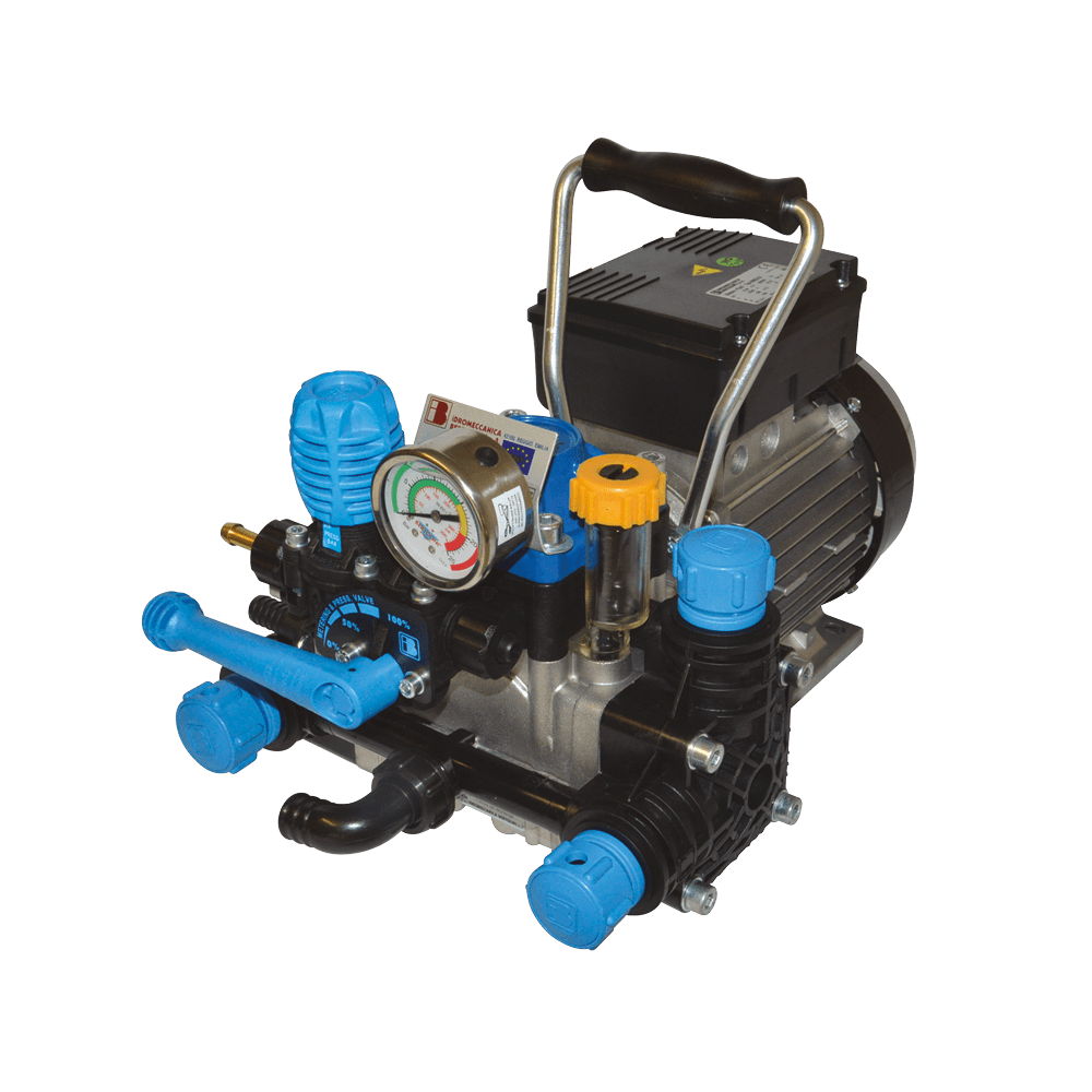 Насос Bertolini POLY 2020.1 HP MNF (с электродвигателем 220В и регулятором давления PBP)
