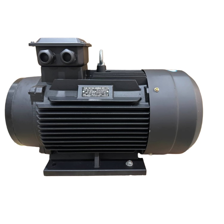 Мотор H160 22 KW (межосевое расстояние 87мм)